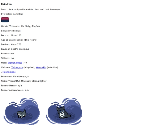 raindrop screenshot