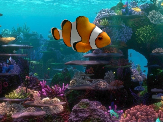 Swimming screenshot