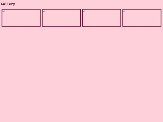 gallery screenshot