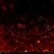 The web site of septicity avatar