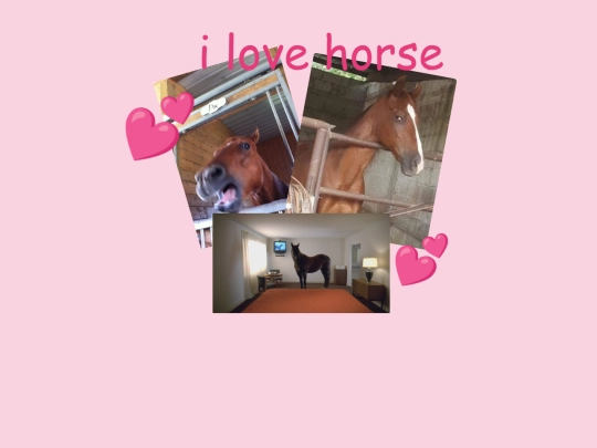 tmp/horse-shrine screenshot