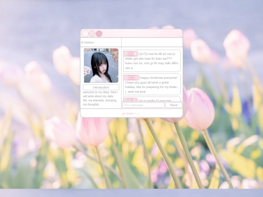 diary screenshot
