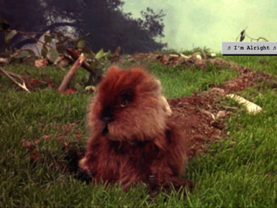 gopher screenshot