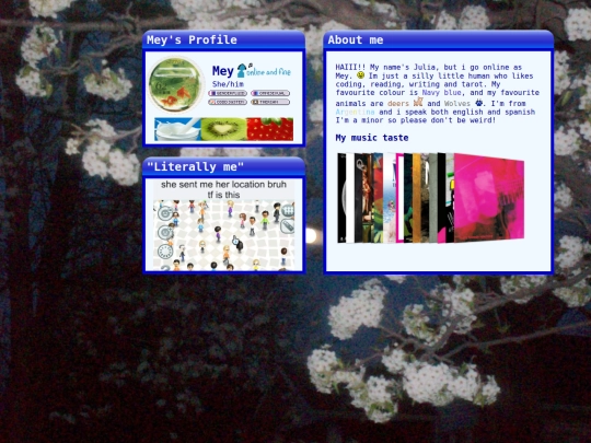 Aboutme screenshot