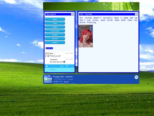 System screenshot