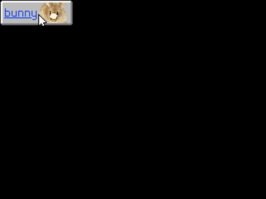 button screenshot