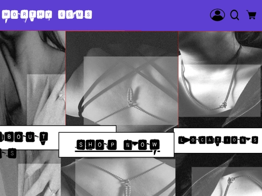 Web Design 1 Project  screenshot