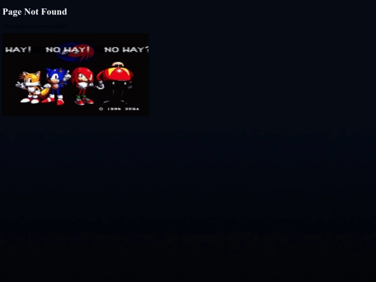 not_found screenshot