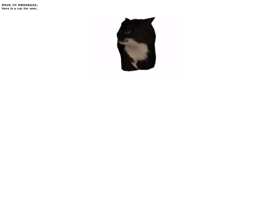 Page-in-progress screenshot