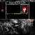 emoskeleton.yorniq.xyz avatar