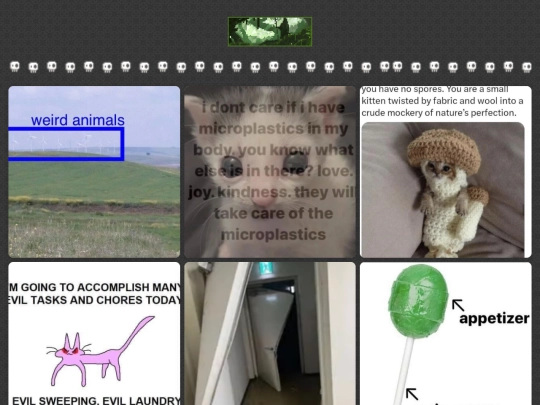 easter_egg/yeahright screenshot