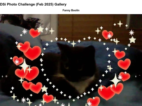 art_posting/dsi_photo_challenge screenshot