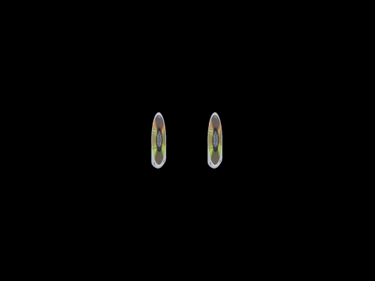 secret_crypt/umd_video screenshot
