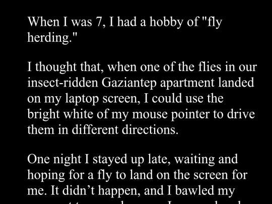 fly-herding screenshot