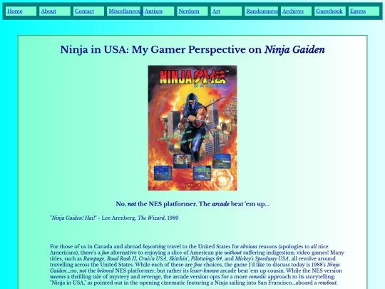 Ninja_in_USA screenshot