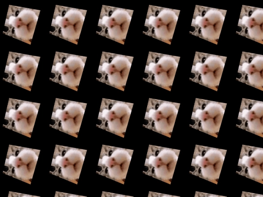 catspin screenshot