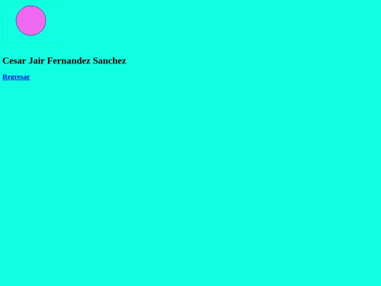CANVAS/circulo screenshot