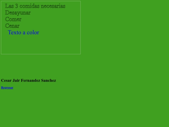 CANVAS/texto screenshot