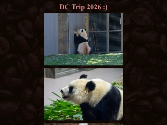 DC screenshot