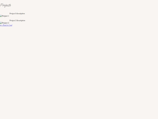 projects screenshot