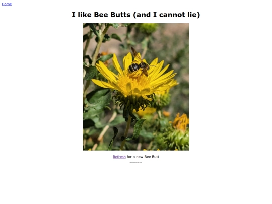 bee_butts screenshot