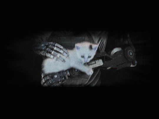 noize screenshot