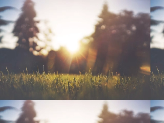 tutoiral screenshot