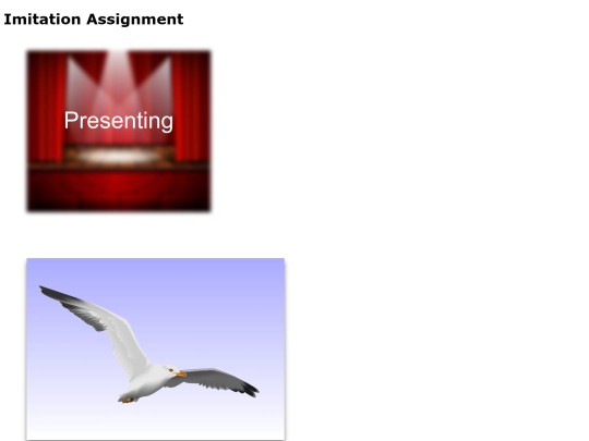 documents /imitationassignment screenshot
