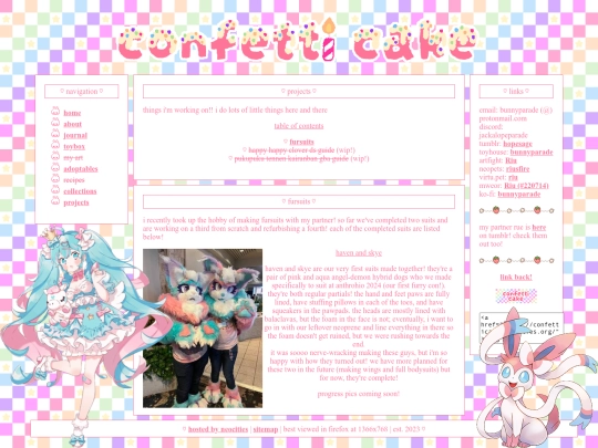 projects screenshot