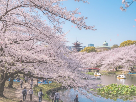 sakura screenshot