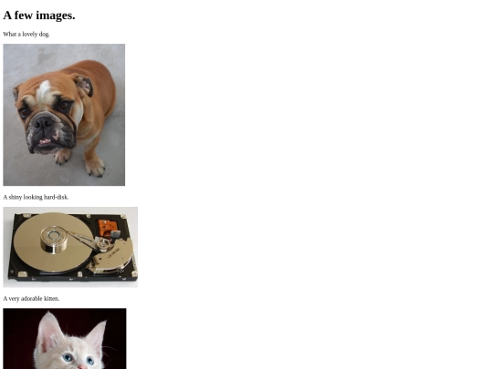image-website-lab screenshot