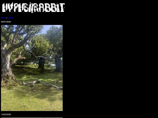 gallery screenshot