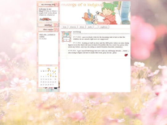 diary screenshot