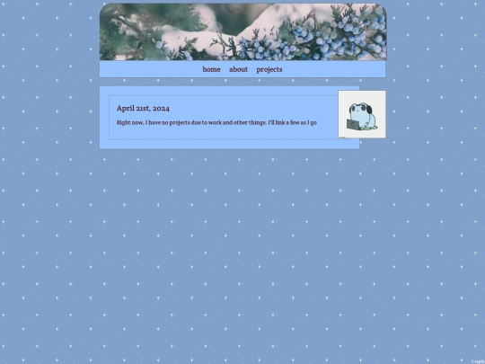 projects screenshot