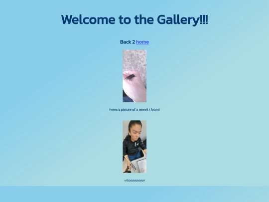 gallery screenshot