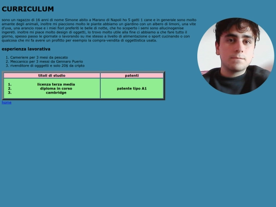 curriculum screenshot