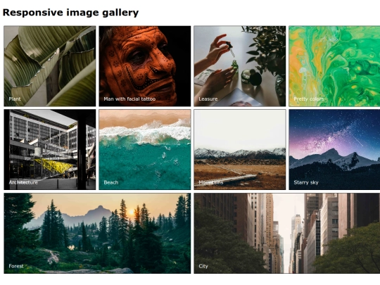 photodiary screenshot