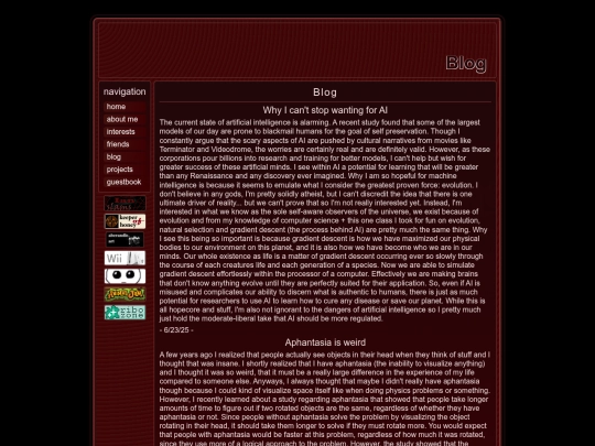blog screenshot