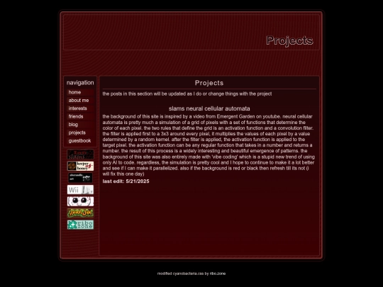 projects screenshot