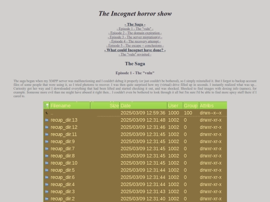 articles/incognet.xhtml screenshot
