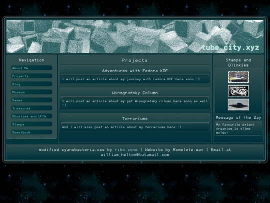 projects screenshot