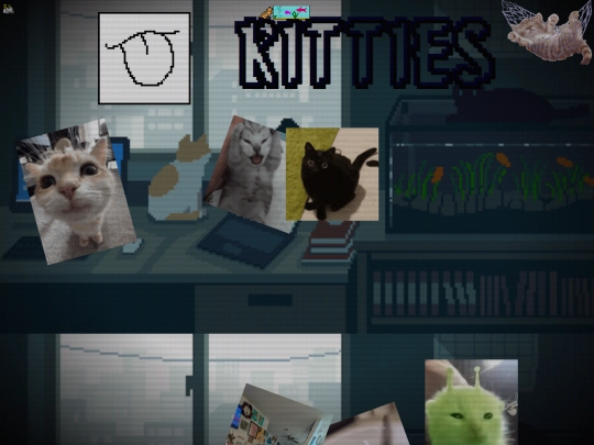 cats screenshot