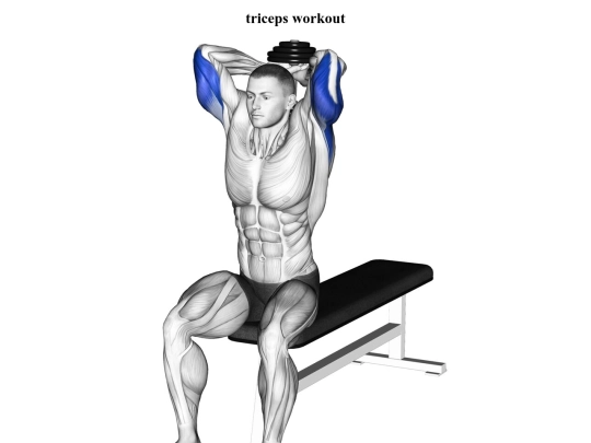 webpage for uk fitness/triceps  screenshot