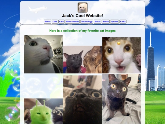 cats screenshot