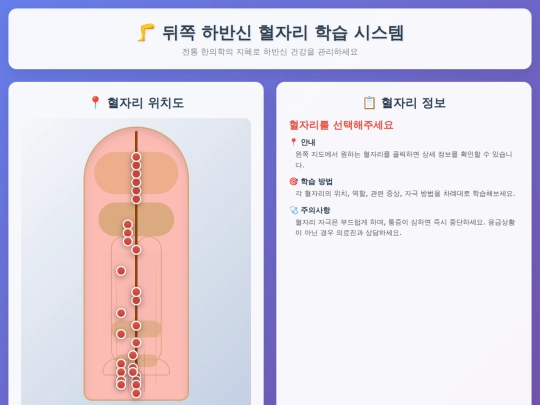 back_lower_body_acupoint_learning screenshot