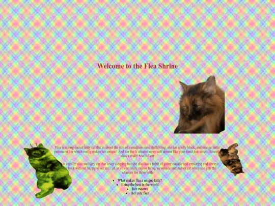 FleaShrine screenshot