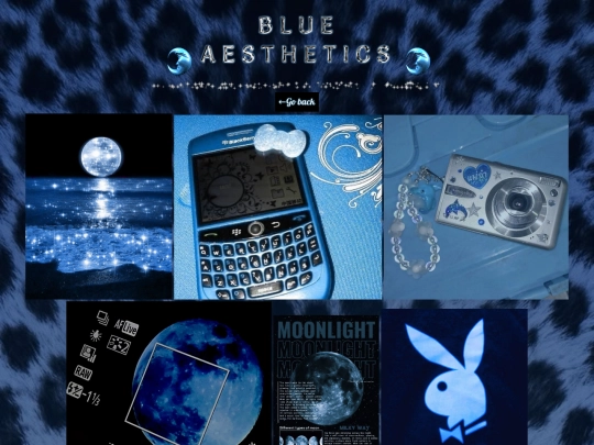 BlueAestheticsGIFS screenshot