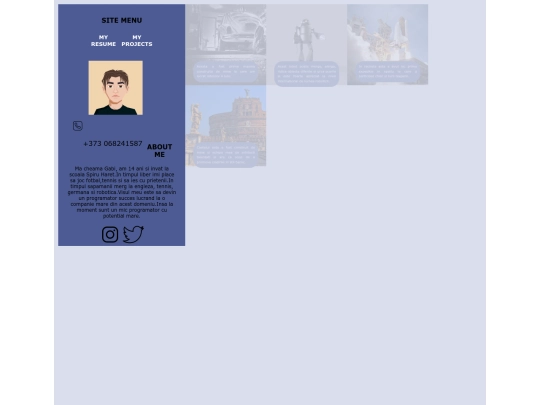 projects screenshot