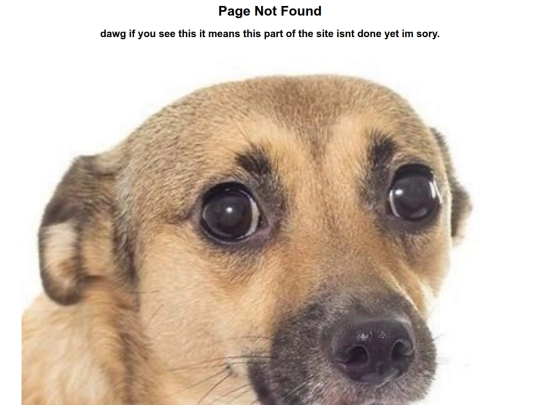 not_found screenshot