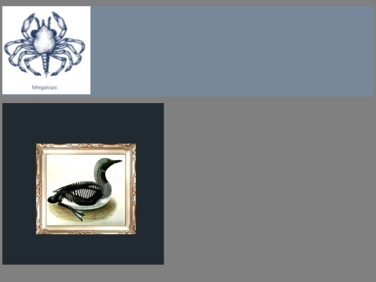 backing screenshot